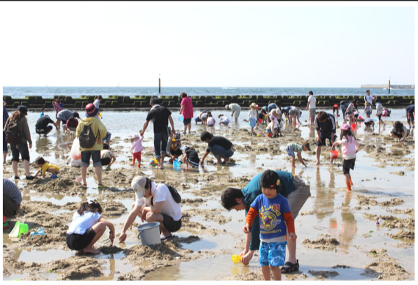 二色浜での潮干狩と混雑情報17 関西で遊ぼう