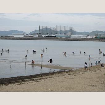 赤穂唐船サンビーチの潮干狩り場18 関西で遊ぼう